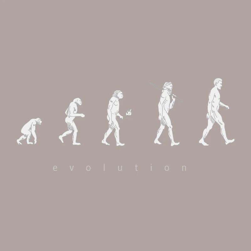 Human evolution