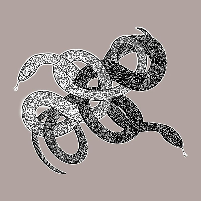 Schlangen Geschenk python anaconda snake