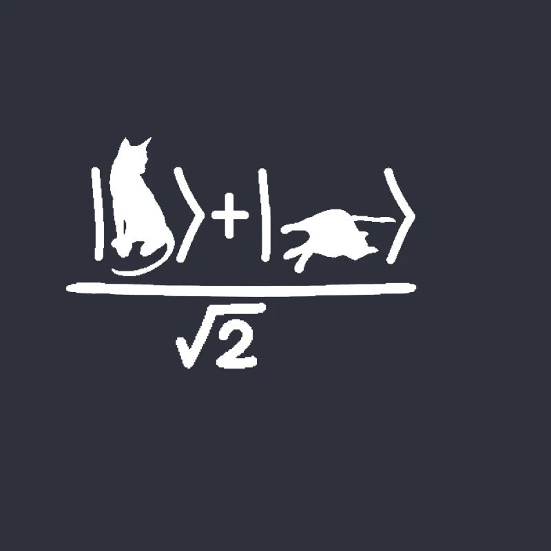 La Physique De Chat De Schrödinger La Mécanique Quantique Nerd
