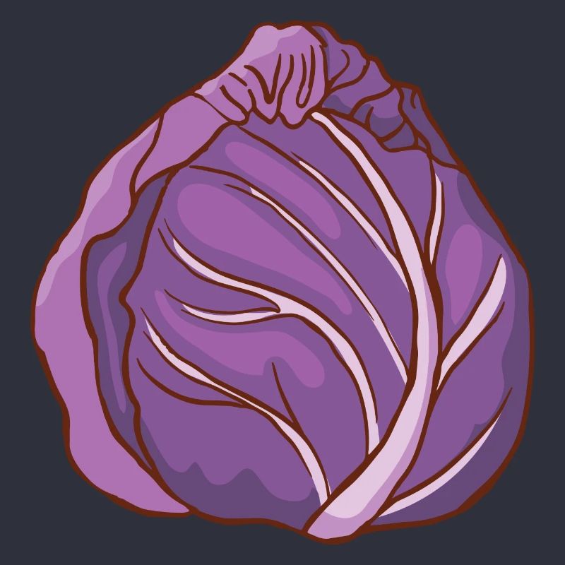 Red cabbage head Blue cabbage red cabbage Blue cabbage