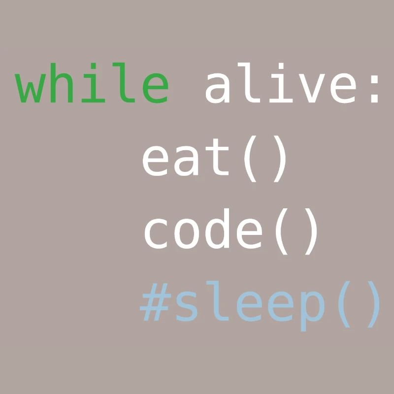 Python code | eat sleep code repeat |Programmieren