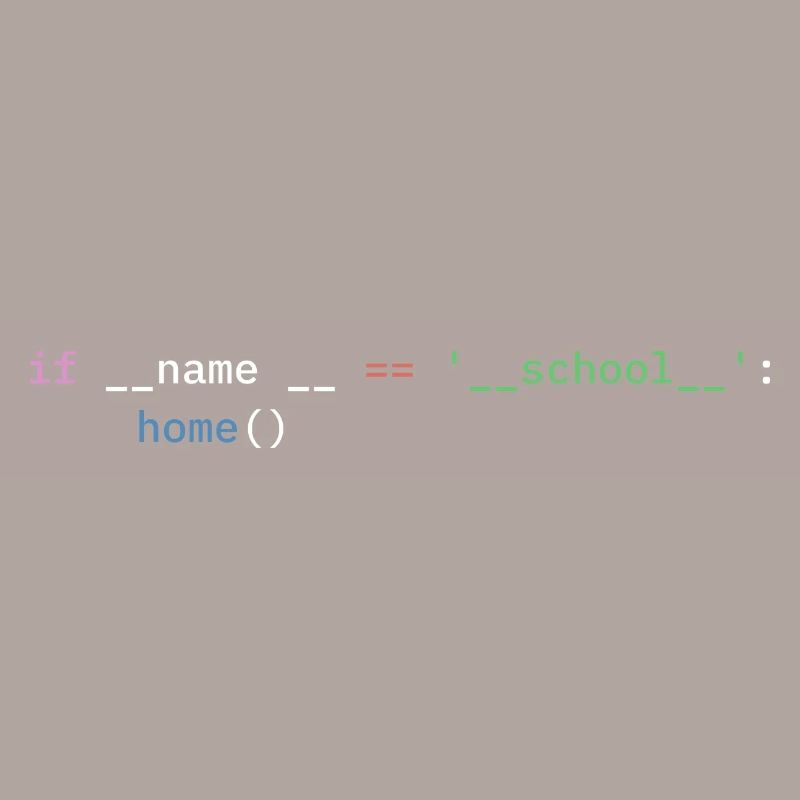 Python Programmierer Schule Schüler lustig