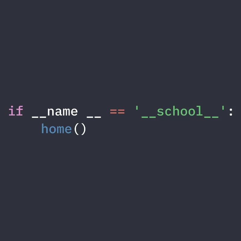 Python Programmer School Student Funny