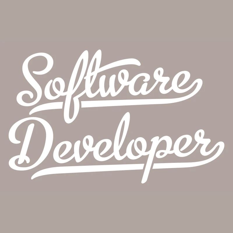 Software Developer