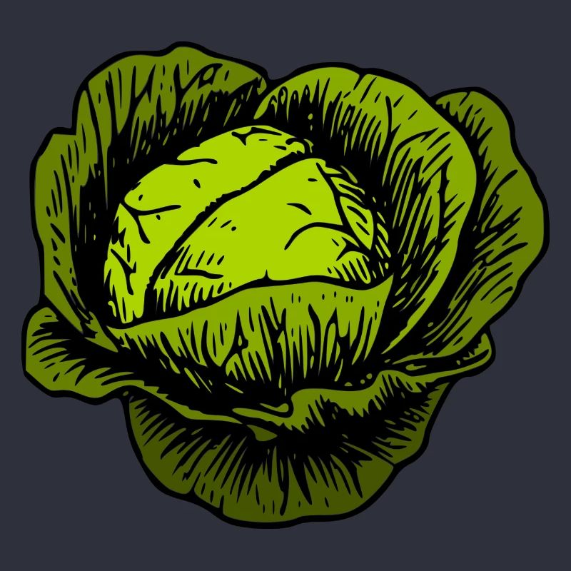 cabbage red cabbage white cabbage cabbage kale veggie gemuese