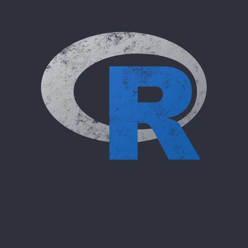 R logo programming Vintage Distressed design