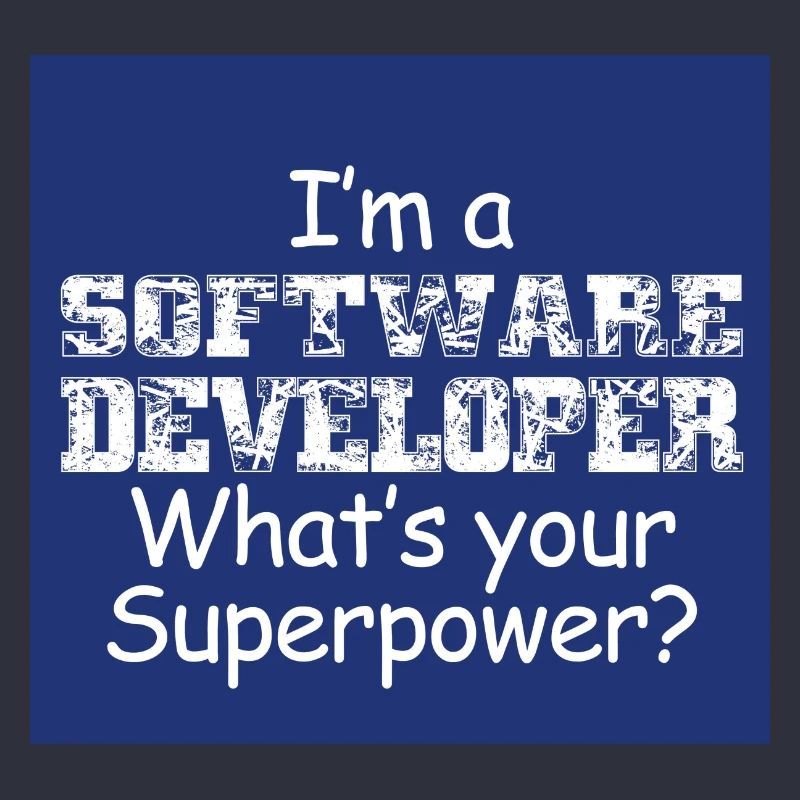Software Developer