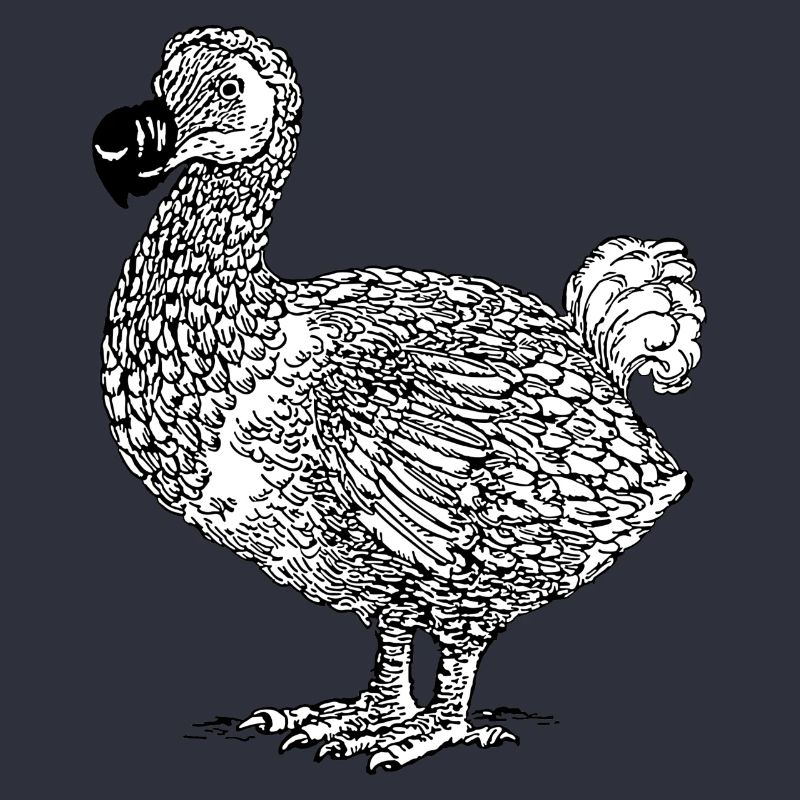 DODO Vogel