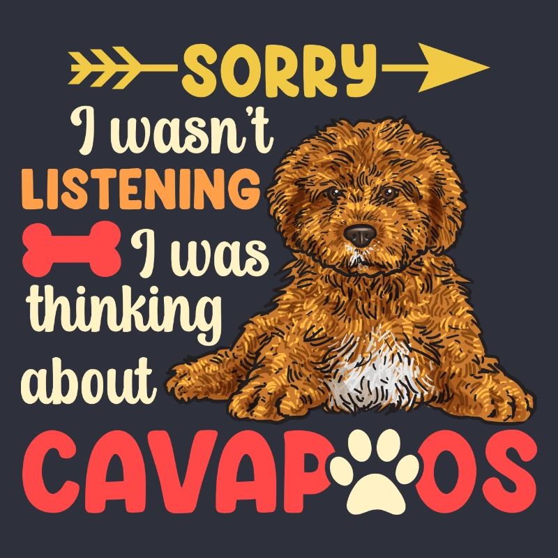 Cavapoo Cavoodle Capoodle Dog