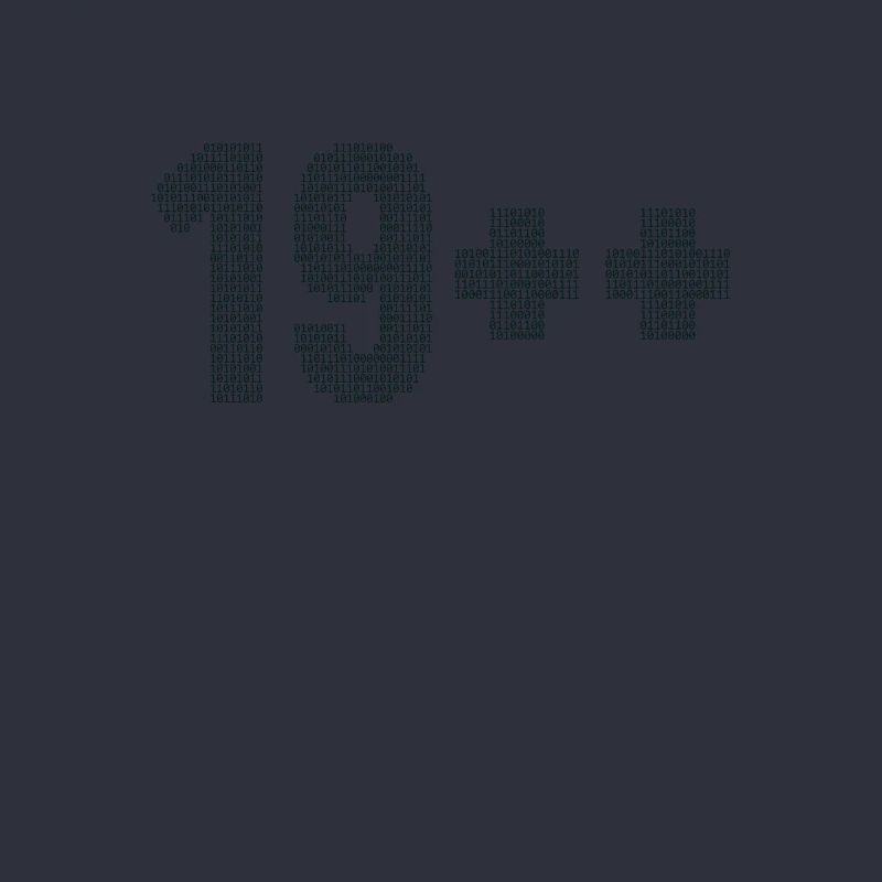 19++ Programmeur Ingénieur logiciel Codeur 20e