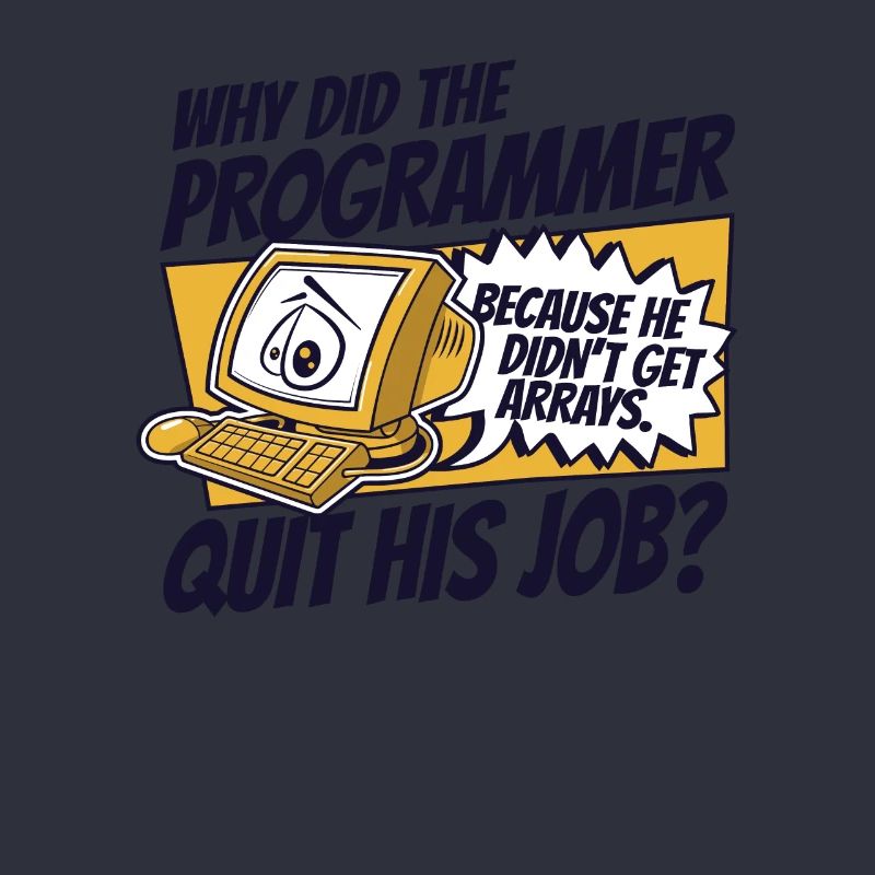 Why Did Programmer Quit Job Developer Coder