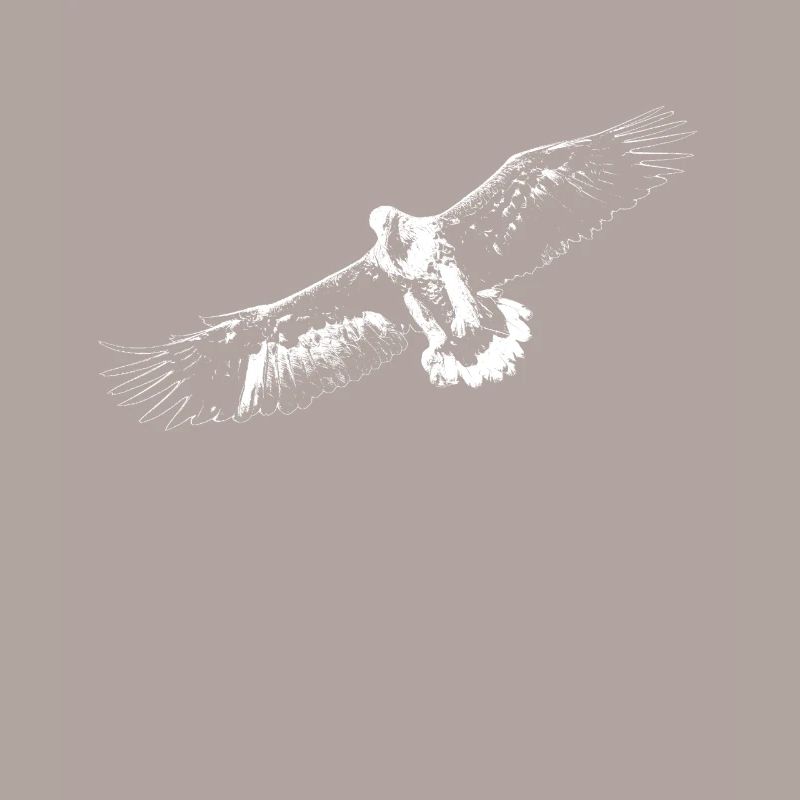 Aigle blanc