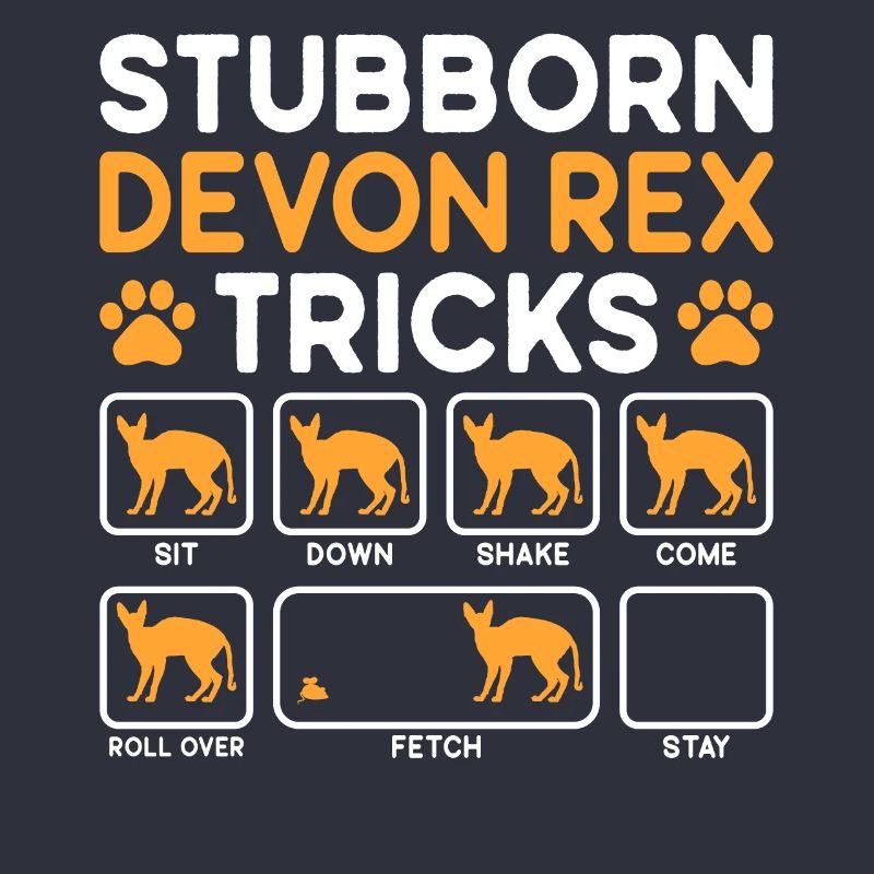 Tricks têtus Devon Rex Cat