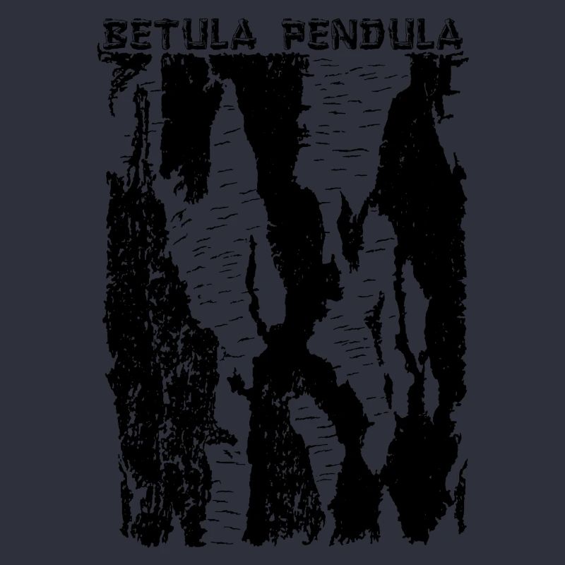 Hängebirke (Betula Pendula) Rinde / Borke