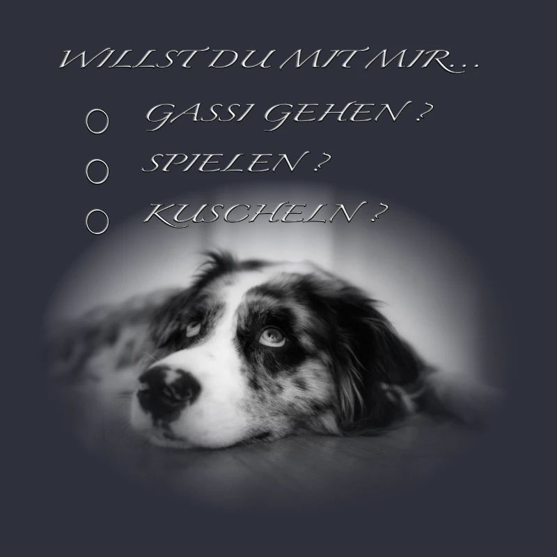 Willst du mit mir...? - Aussie Australien Shepherd