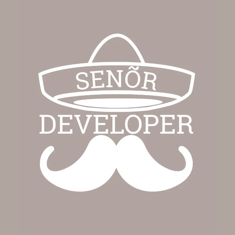 « Senor Developer, Senior Developer » | Programmeurs
