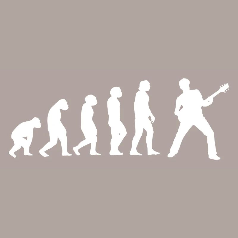 Evolution Gitarrist