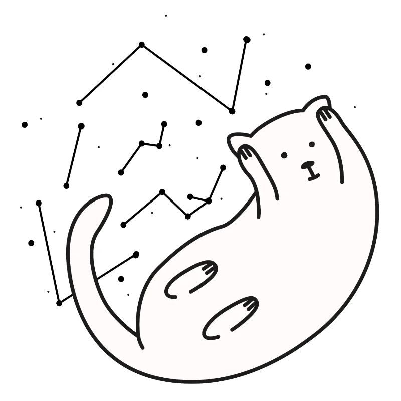 Space Cat version 2