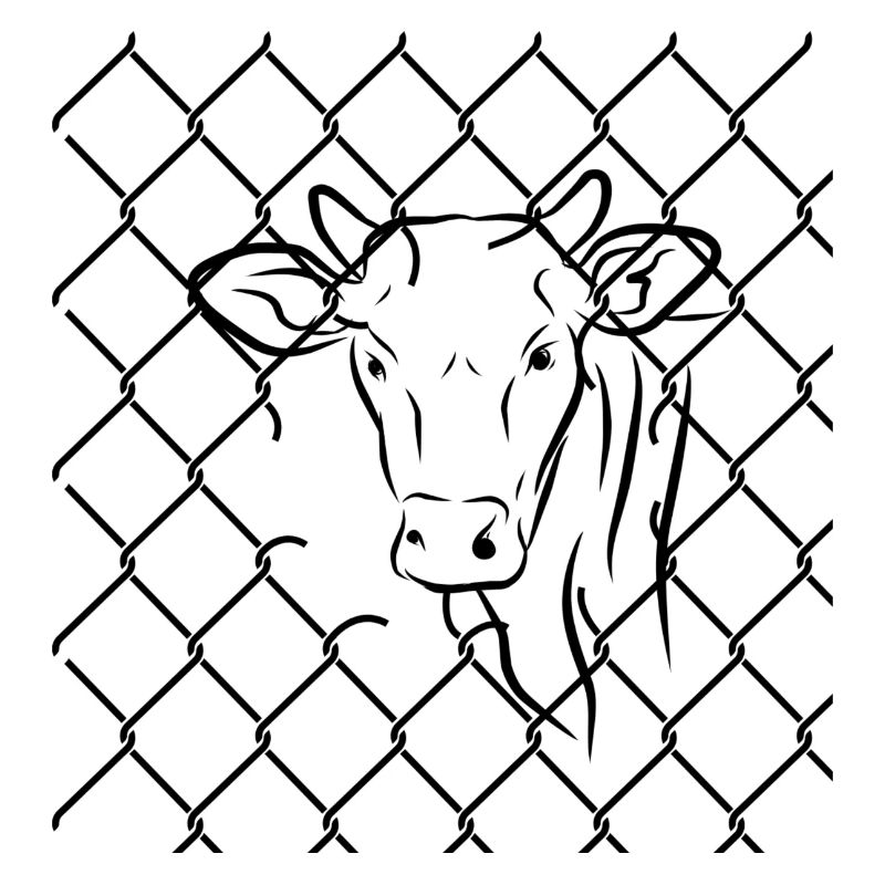 Droits des animaux