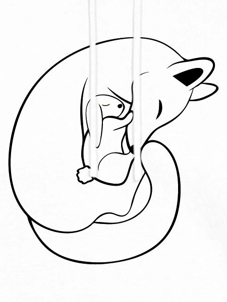 Fuchs & Hase