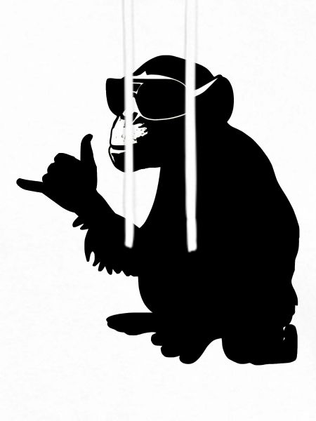 monkey