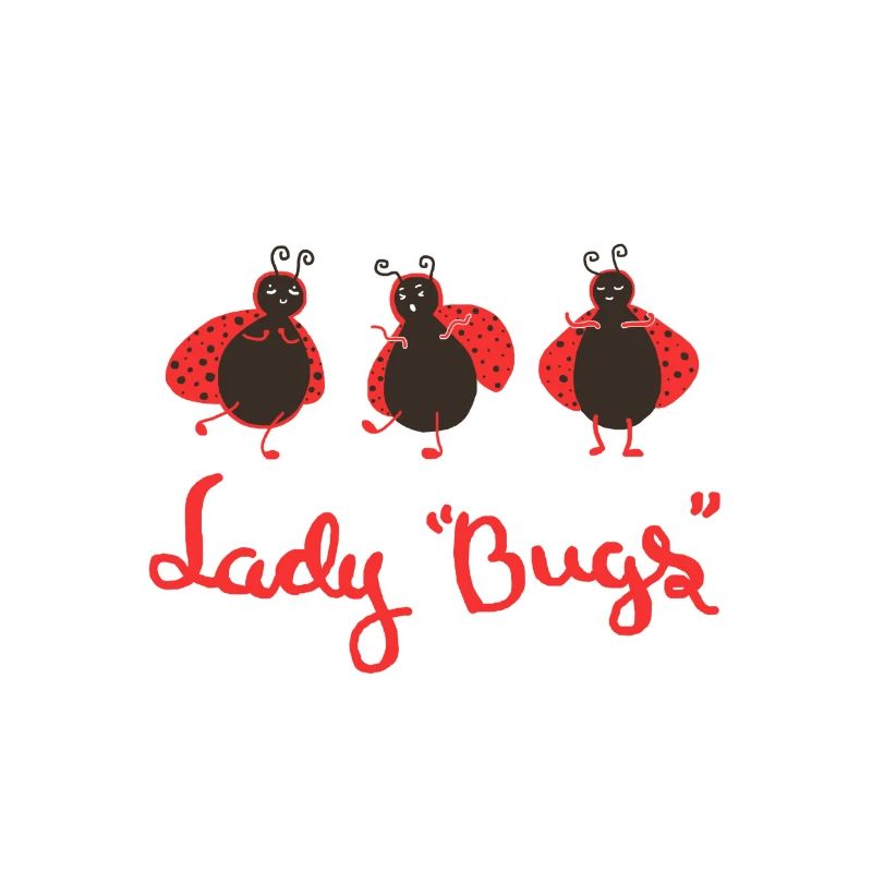 Ladybug ladybugs animals