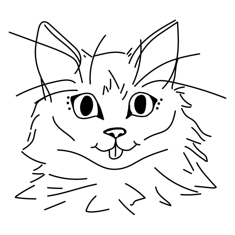 Chat