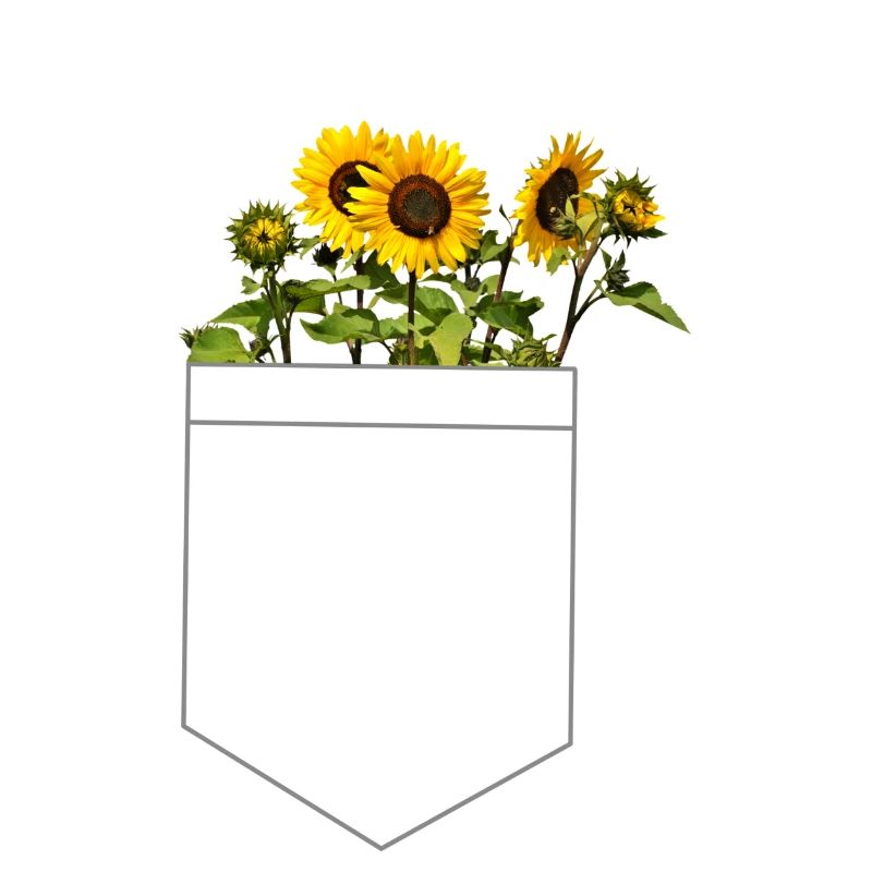 Sonnenblume in Tasche