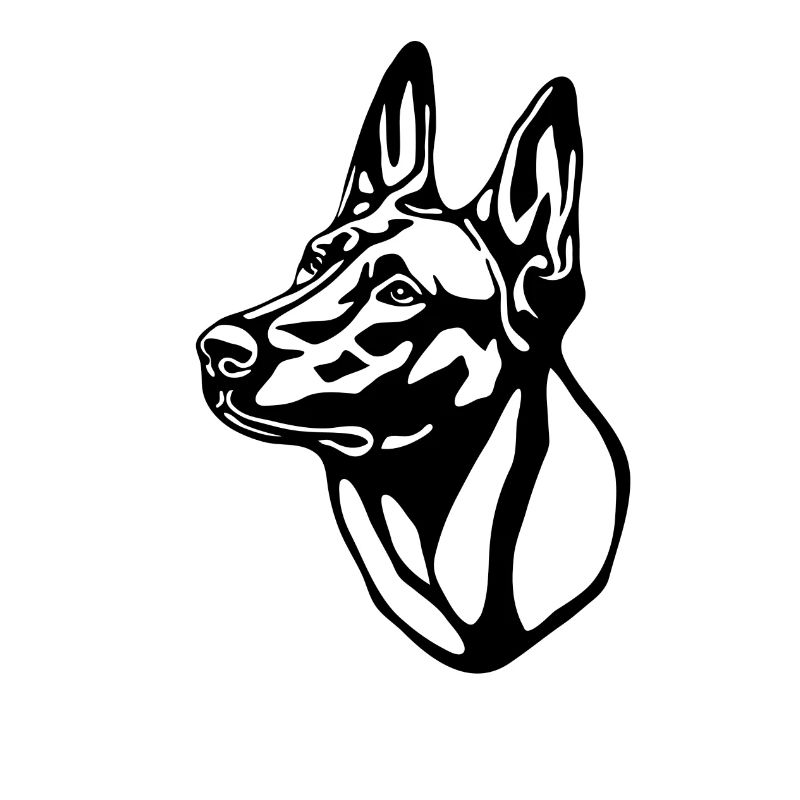 2 Malinois withoutBackground text