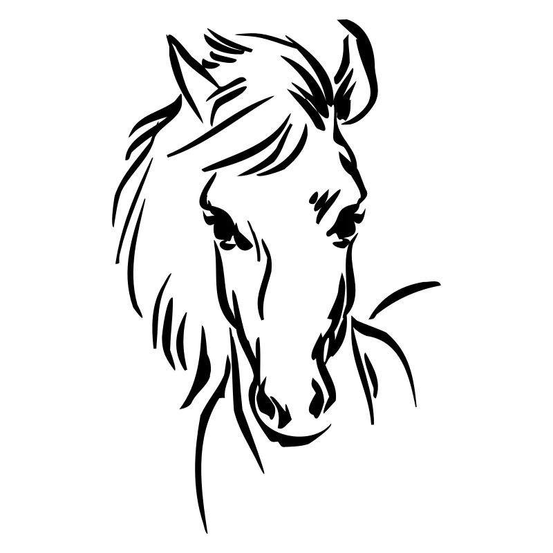 Cheval ... de wicki_de