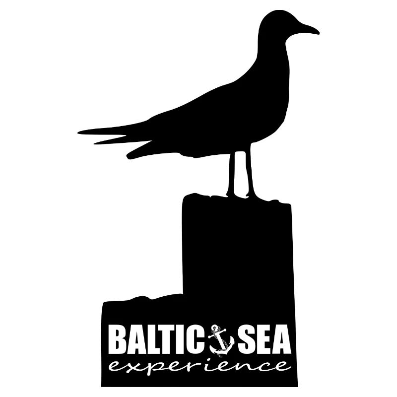 Möwe auf Pfahl / BALTIC SEA EXPERIENCE / Ostsee