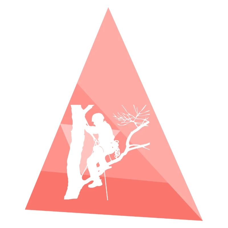 Climbing monkey climber tree climbing