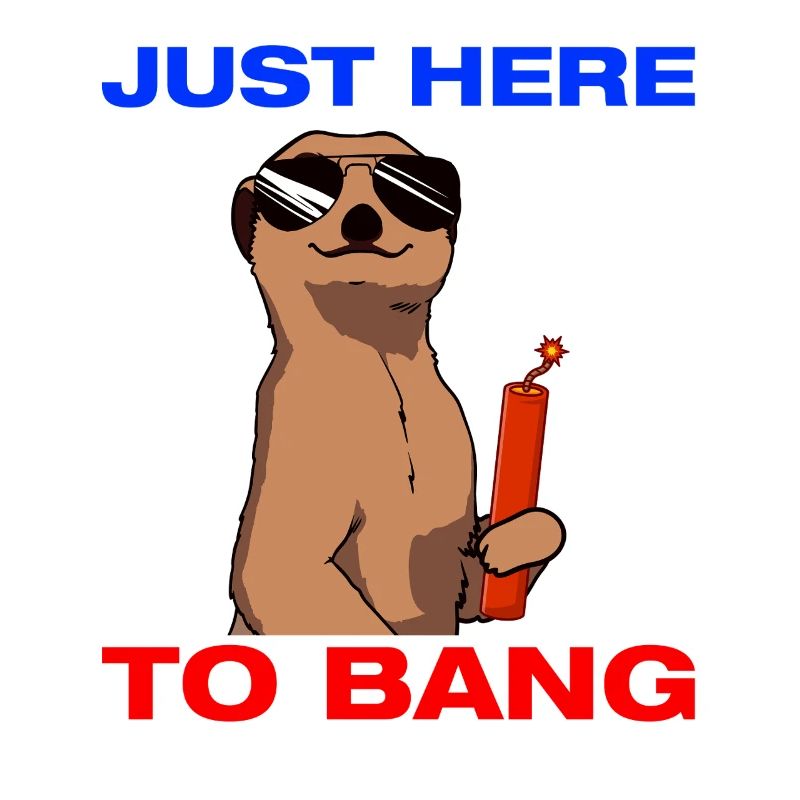 Just here to bang: Pyrotechnicians, firecrackers, fireworks