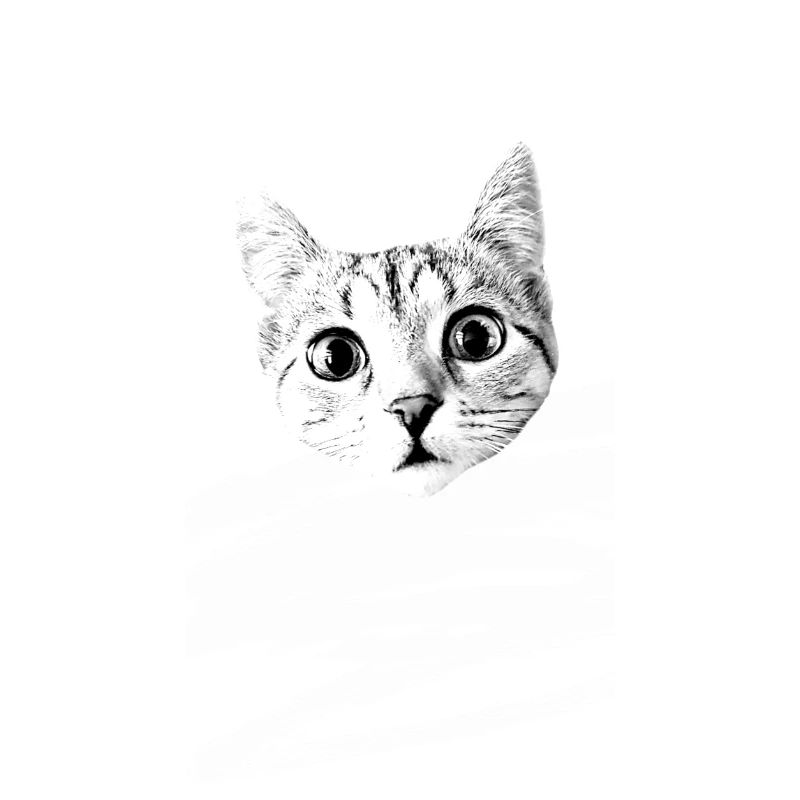 Kitty "mina"