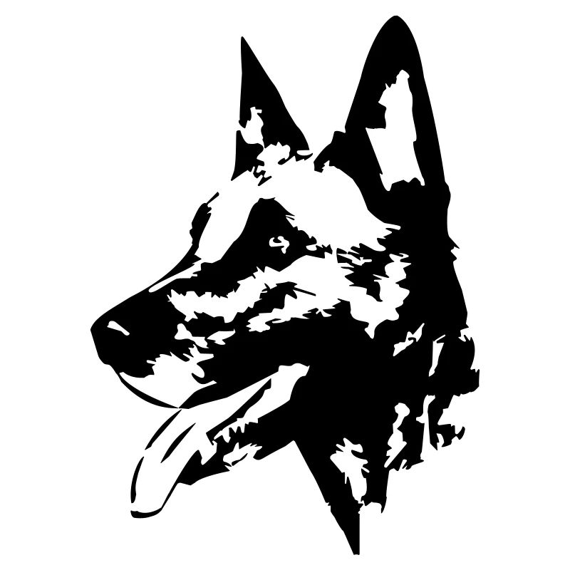 Malinois head