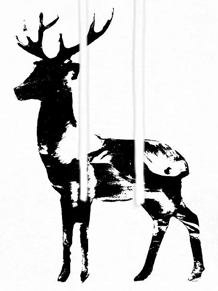 Hirsch