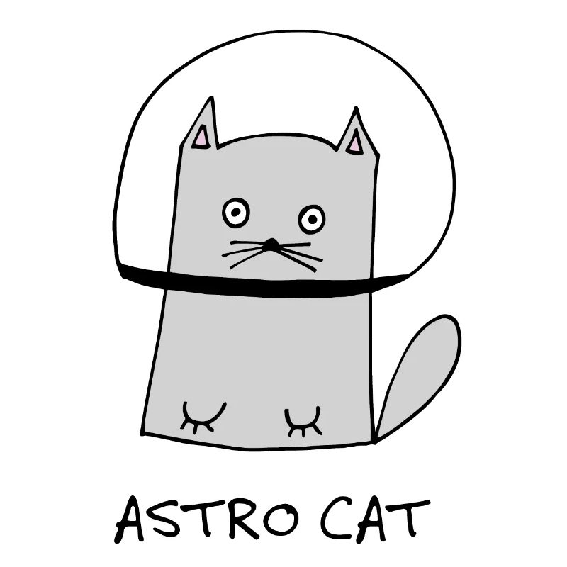 Chat Minou Minou Chat Miau l’espace