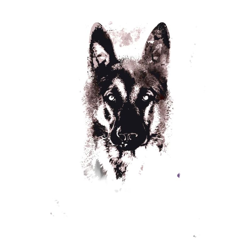 German Shepherd,Dog,Black Shepherd