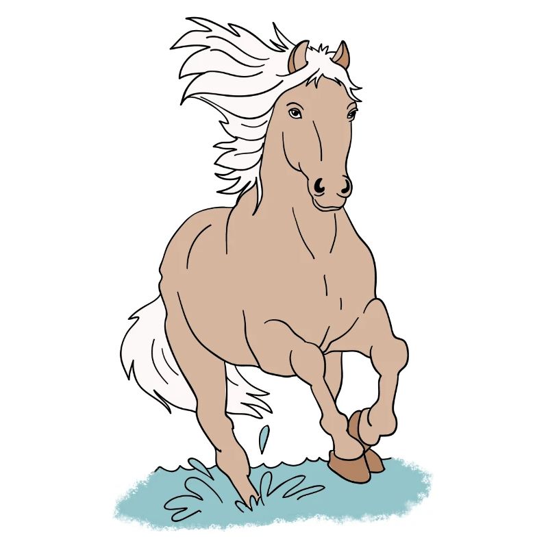Pferd Pferde