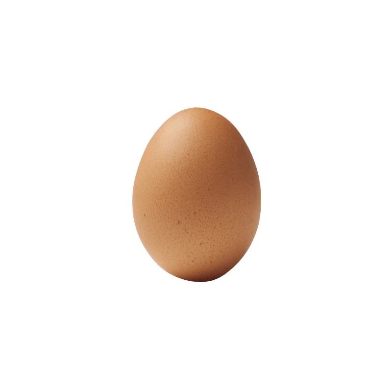 EGG
