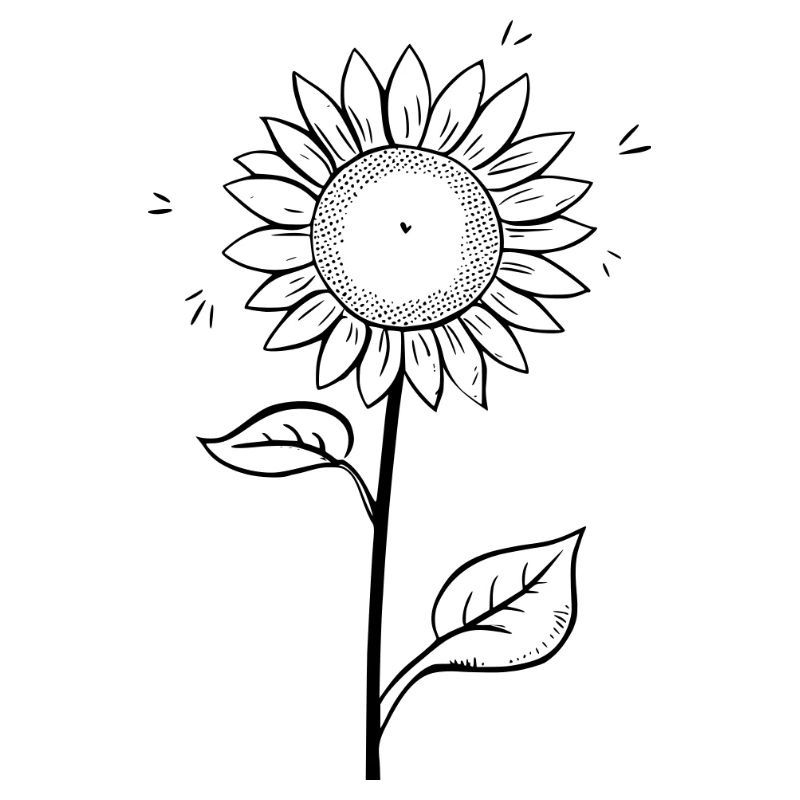 Tournesol comme illustration vectorielle