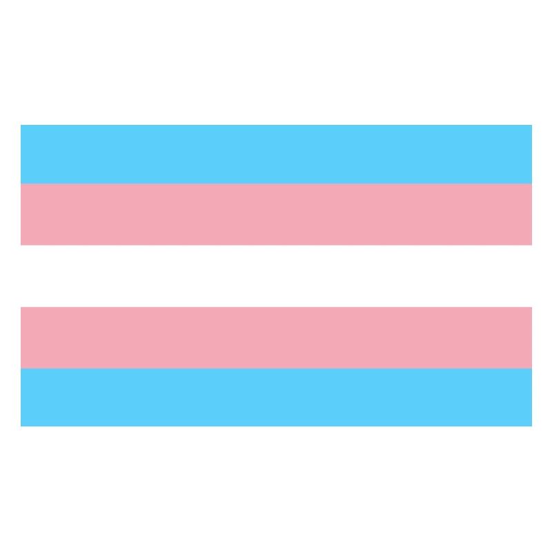 Drapeau Trans