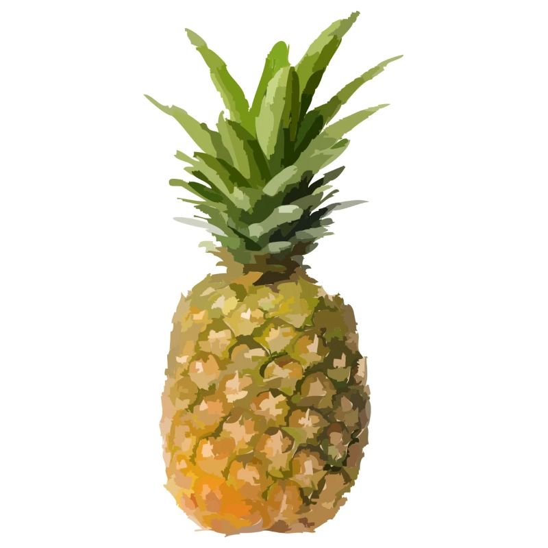 Ananas