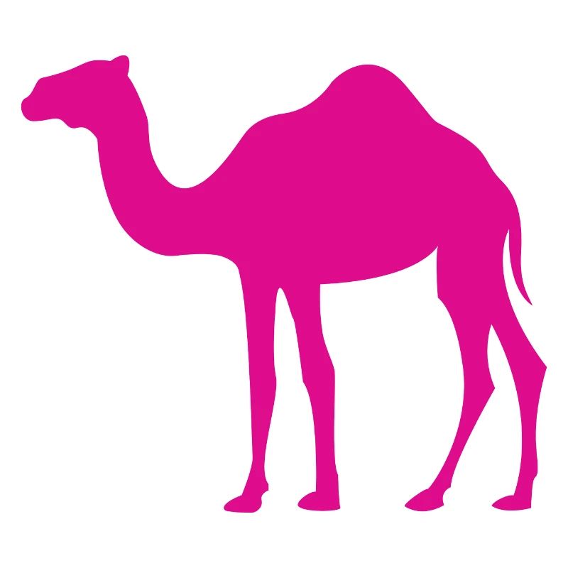 Pinkes Kamel