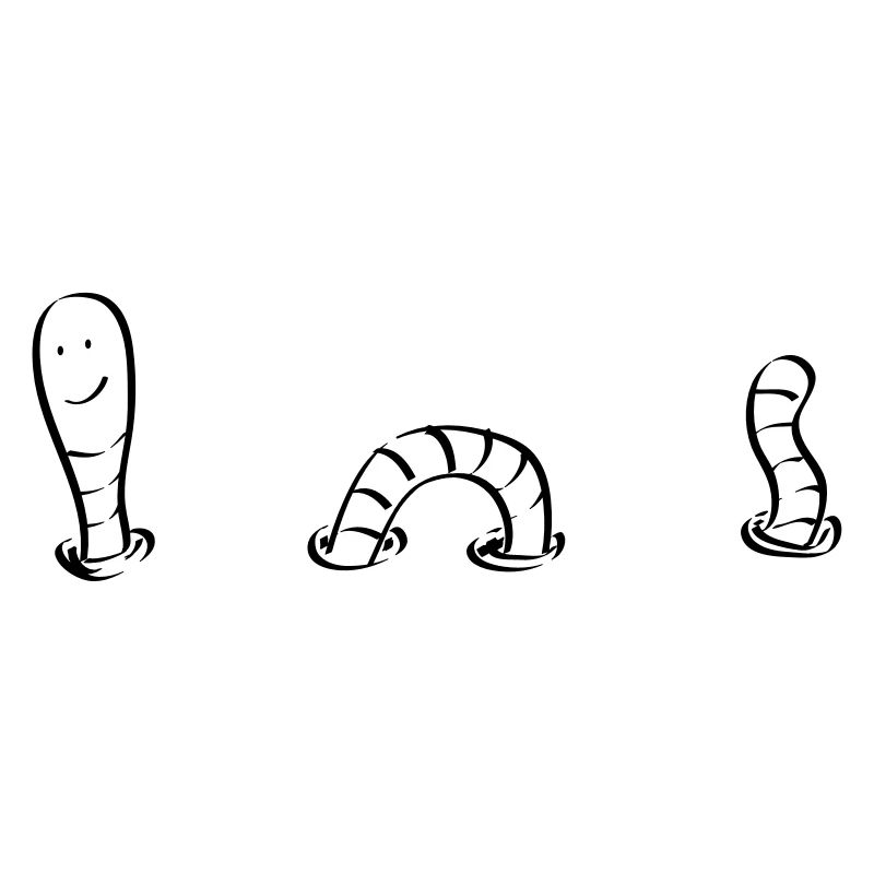 Wurm