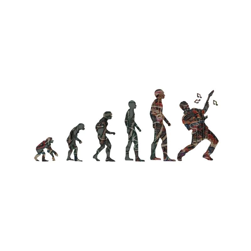 Evolution rock guitar