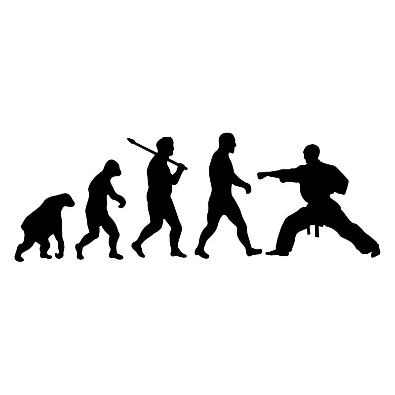 Evolution: Karate