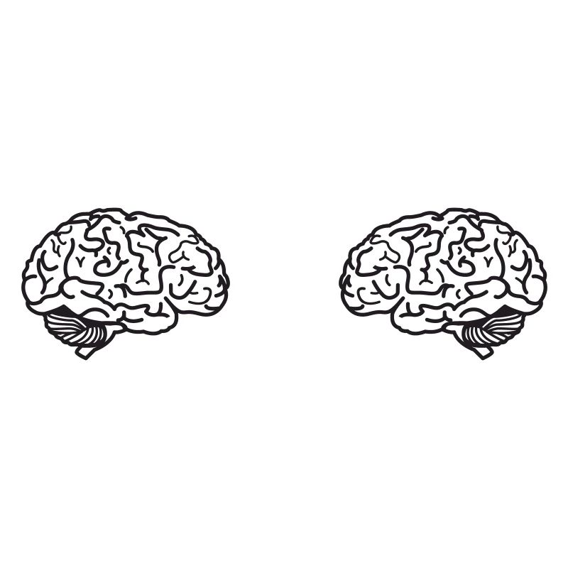 Boobs Tits Brain Brains Illustration