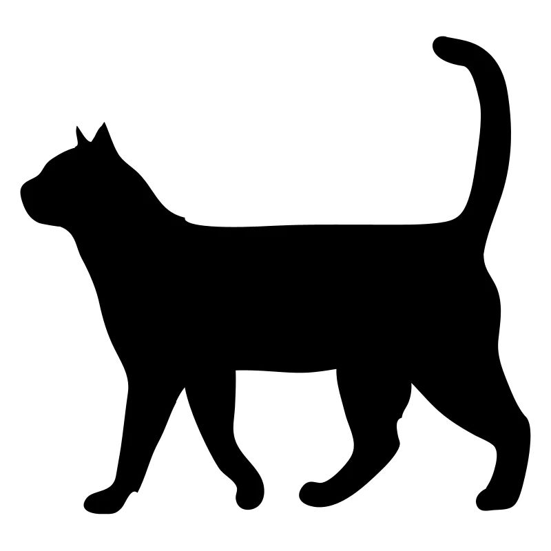Katze
