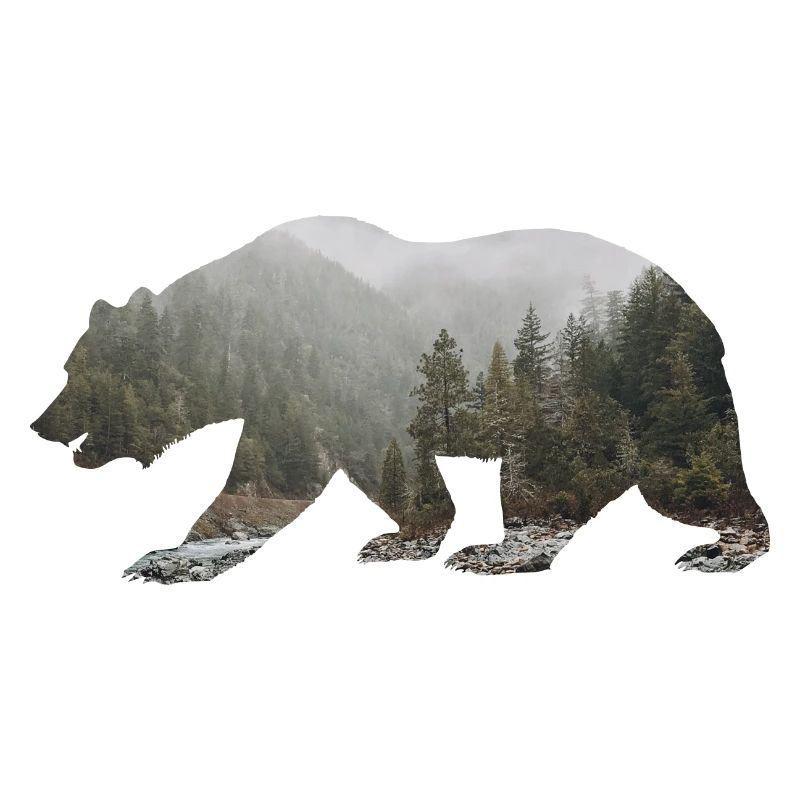 Bär mit Wald im Hintergrund